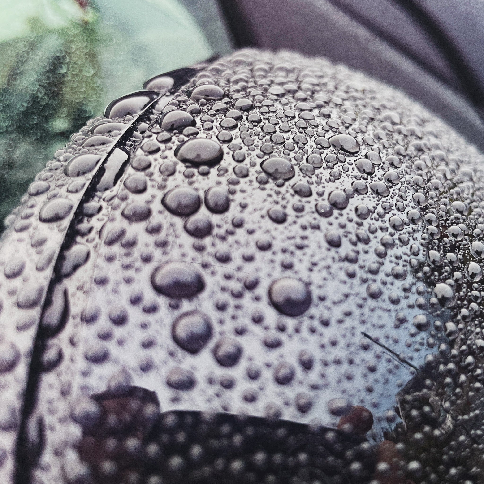 EVO | Ceramic Shampoo