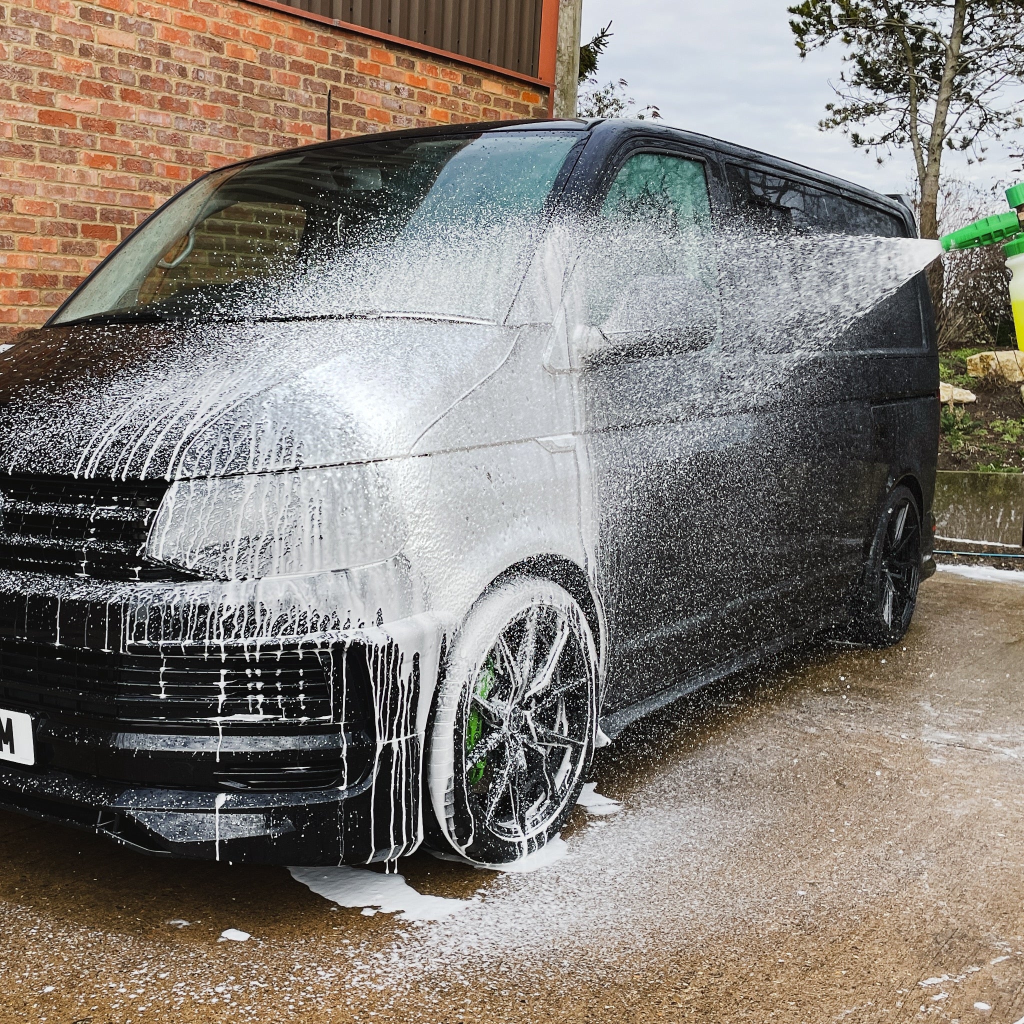 Tsunami | Citrus Infused Snow Foam
